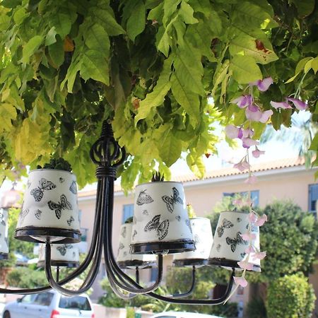 Ivoton Home Paphos Buitenkant foto