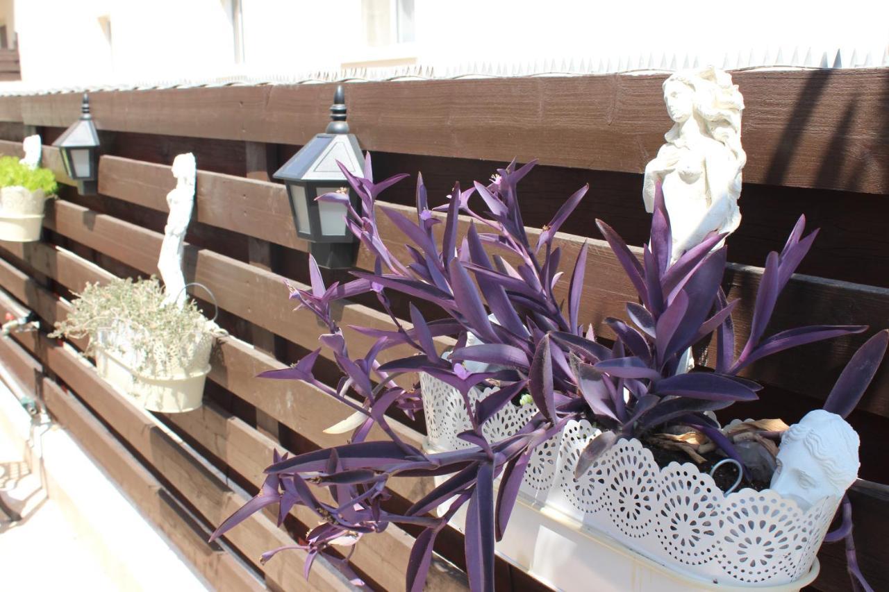 Ivoton Home Paphos Buitenkant foto